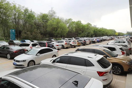 寧夏房車博覽會兩日銷售汽車548輛，銷售額達9394.22萬元